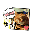 みゅうです。（個別スタンプ：17）