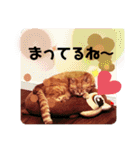 みゅうです。（個別スタンプ：19）