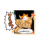 みゅうです。（個別スタンプ：22）