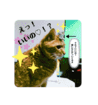 みゅうです。（個別スタンプ：24）