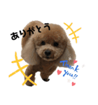 ワンコの日常♡（個別スタンプ：3）