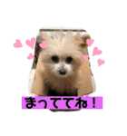 ワンコの日常♡（個別スタンプ：28）