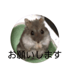 我が家の愉快な愛する家族（個別スタンプ：2）