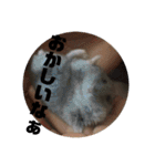 我が家の愉快な愛する家族（個別スタンプ：3）