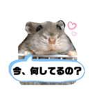 我が家の愉快な愛する家族（個別スタンプ：5）