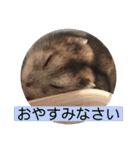 我が家の愉快な愛する家族（個別スタンプ：9）