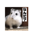 我が家の愉快な愛する家族（個別スタンプ：10）