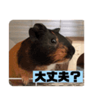 我が家の愉快な愛する家族（個別スタンプ：15）
