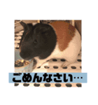 我が家の愉快な愛する家族（個別スタンプ：16）