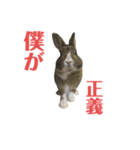 うさぎのさきち（個別スタンプ：3）