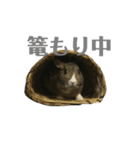 うさぎのさきち（個別スタンプ：6）