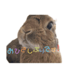 うーちゃんスタンプ！！！（個別スタンプ：3）