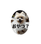 モコちゃんスタンプ02（個別スタンプ：9）