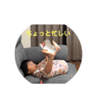 ヤンチャ姉弟（個別スタンプ：1）