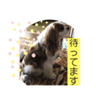 キャバリア♡オリバー⑥（個別スタンプ：26）