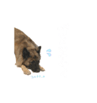 ごくう・くるみ・ノワール #1（個別スタンプ：9）