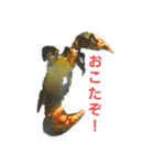 のこぎりくん（個別スタンプ：2）