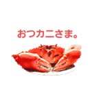 のこぎりくん（個別スタンプ：7）