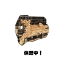 気ままな動物ライフ（個別スタンプ：5）