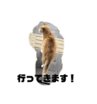 気ままな動物ライフ（個別スタンプ：8）