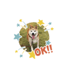 さくら＆りり（個別スタンプ：1）