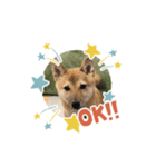 さくら＆りり（個別スタンプ：2）