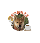 さくら＆りり（個別スタンプ：6）