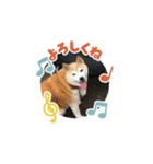 さくら＆りり（個別スタンプ：13）