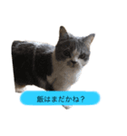 喜奈子さん（個別スタンプ：1）