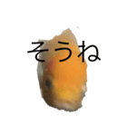 金魚です（個別スタンプ：1）