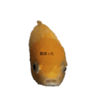 金魚です（個別スタンプ：5）