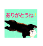 レッサーパンダがあなたを癒します！日本語（個別スタンプ：1）