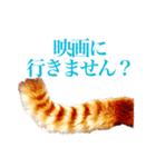 レッサーパンダ愛好家と入間市民の皆さんに（個別スタンプ：8）