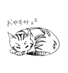 猫のモカマタリNo.9（個別スタンプ：2）