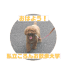 トイプードルコロンの活躍（個別スタンプ：11）