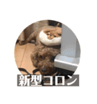 トイプードルコロンの活躍（個別スタンプ：27）