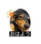 ヾ(＠⌒ー⌒＠)ノ（個別スタンプ：2）