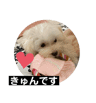 ヾ(＠⌒ー⌒＠)ノ（個別スタンプ：8）
