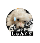 ヾ(＠⌒ー⌒＠)ノ（個別スタンプ：9）