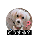 ヾ(＠⌒ー⌒＠)ノ（個別スタンプ：10）