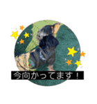 ヾ(＠⌒ー⌒＠)ノ（個別スタンプ：13）