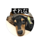 ヾ(＠⌒ー⌒＠)ノ（個別スタンプ：14）