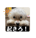 ヾ(＠⌒ー⌒＠)ノ（個別スタンプ：15）