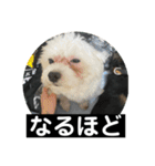 ヾ(＠⌒ー⌒＠)ノ（個別スタンプ：18）