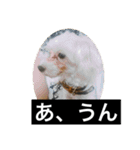 ヾ(＠⌒ー⌒＠)ノ（個別スタンプ：21）