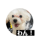 ヾ(＠⌒ー⌒＠)ノ（個別スタンプ：22）