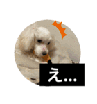 ヾ(＠⌒ー⌒＠)ノ（個別スタンプ：23）