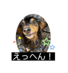 ヾ(＠⌒ー⌒＠)ノ（個別スタンプ：24）