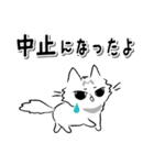 モフ猫みっちゃん2（マイペースな冬編）（個別スタンプ：16）