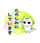 モフ猫みっちゃん2（マイペースな冬編）（個別スタンプ：18）